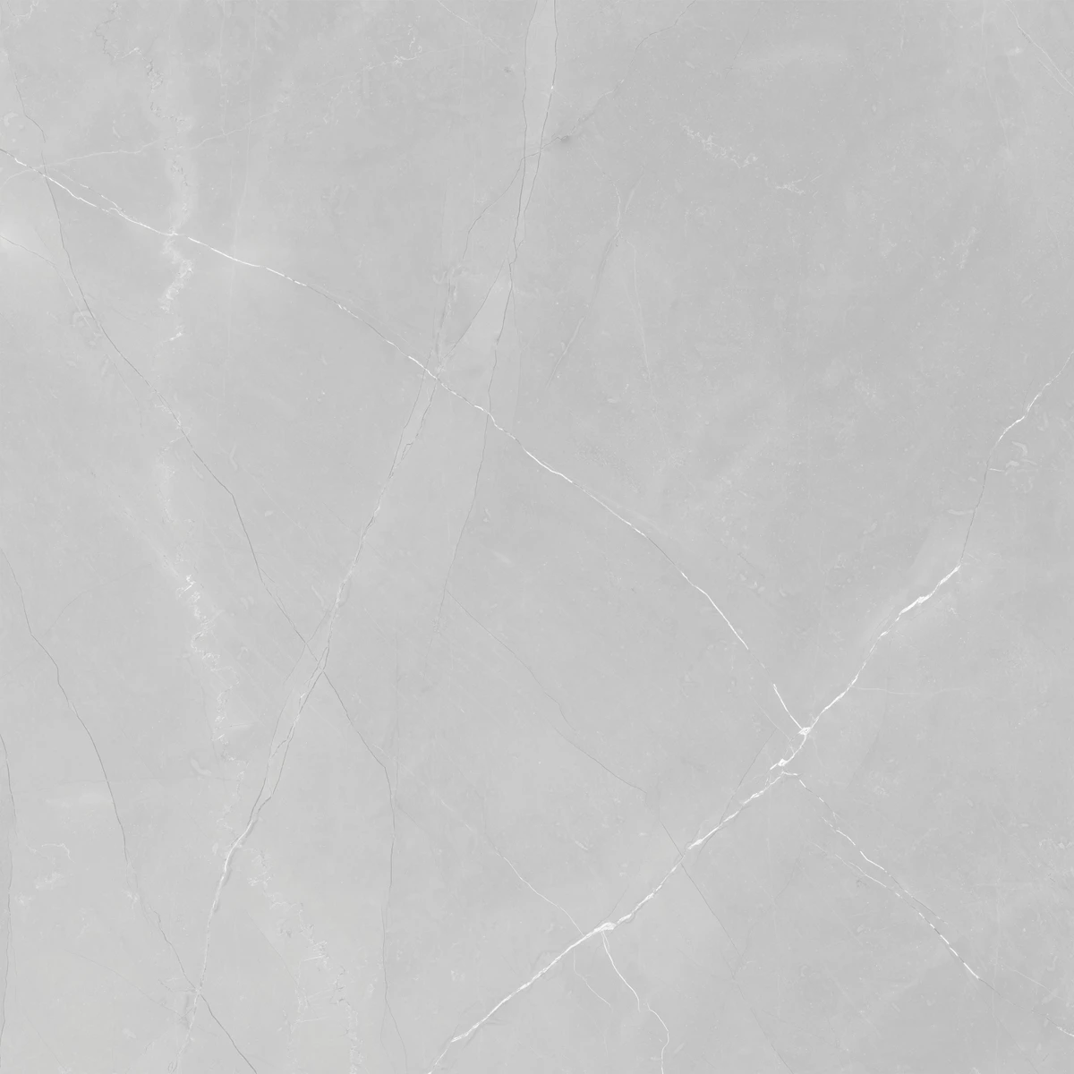 ARMANI GREY LIGHT  6
