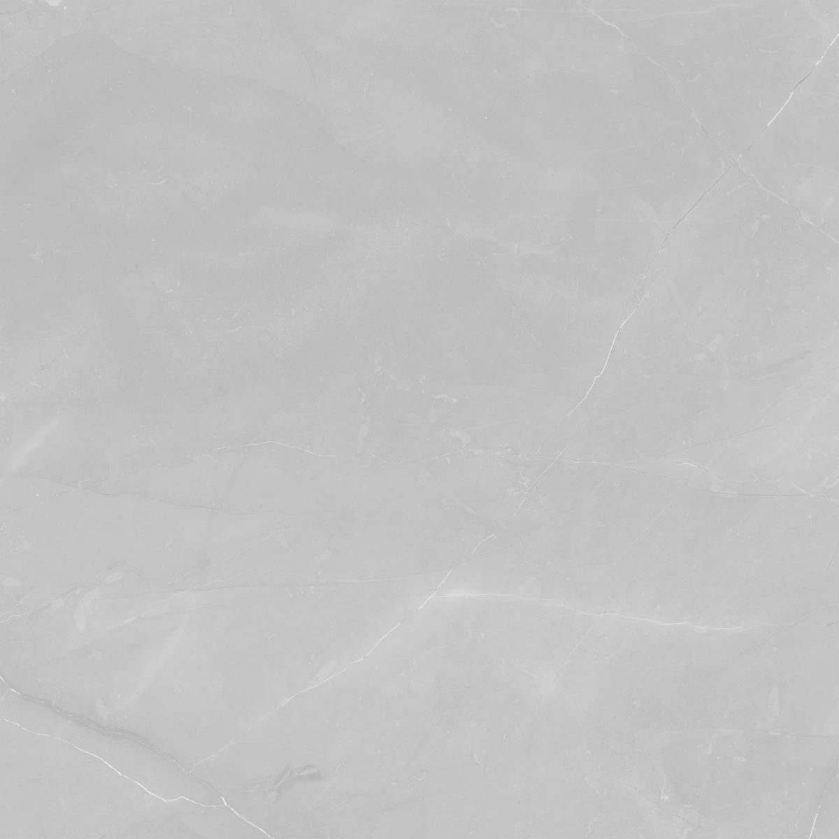 ARMANI GREY LIGHT  3