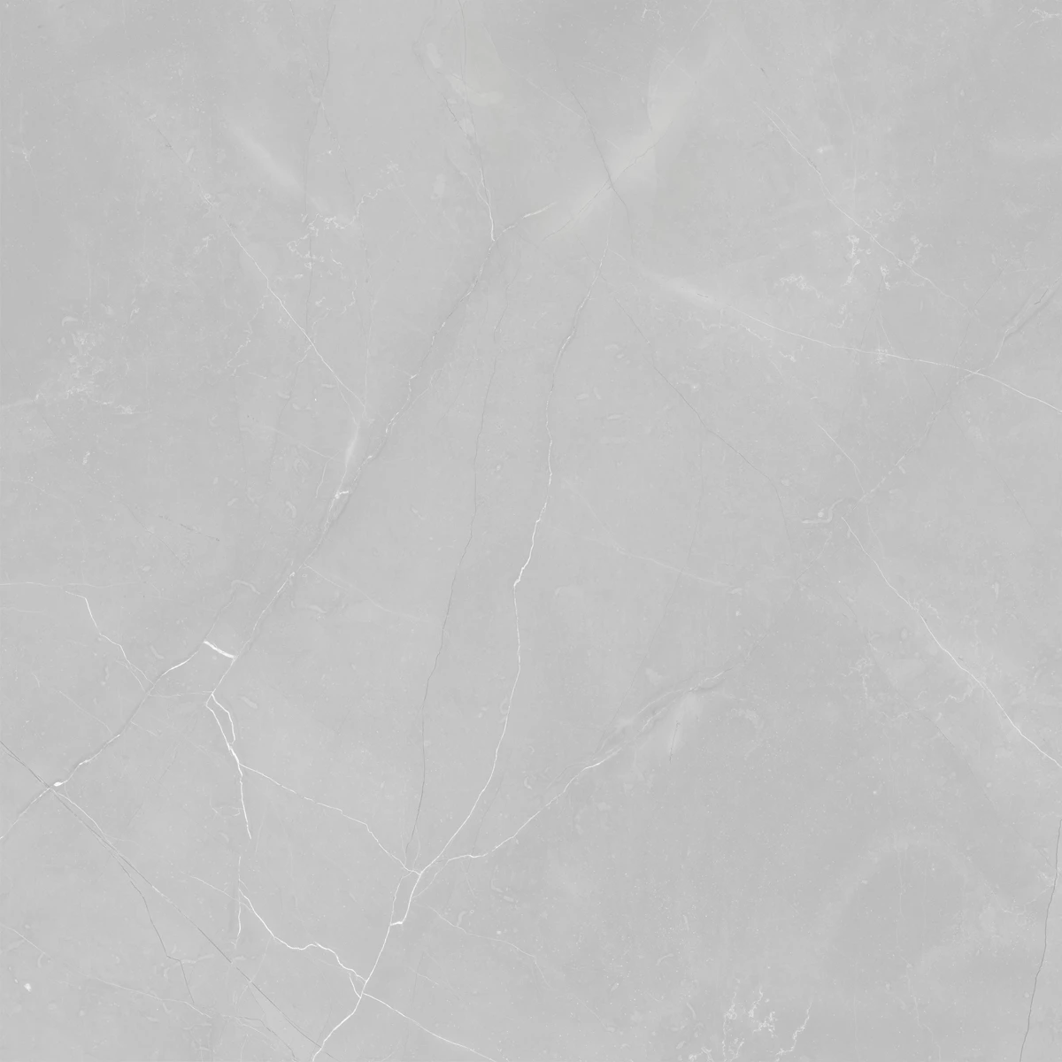 ARMANI GREY LIGHT  2