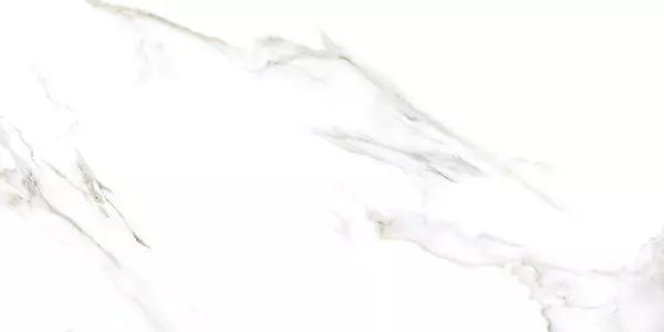 REGAL ARCTIC CRYSTAL_P4
