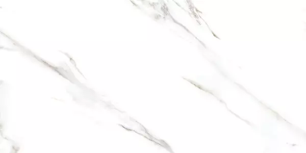 REGAL ARCTIC CRYSTAL_P2