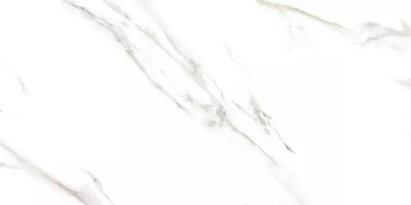 REGAL ARCTIC CRYSTAL_P3