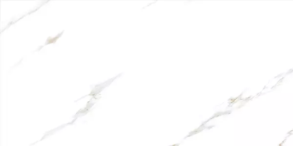 ARBASCATO SATVARIO_P4