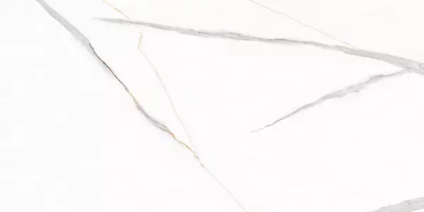 PERTICIO MOON_P4