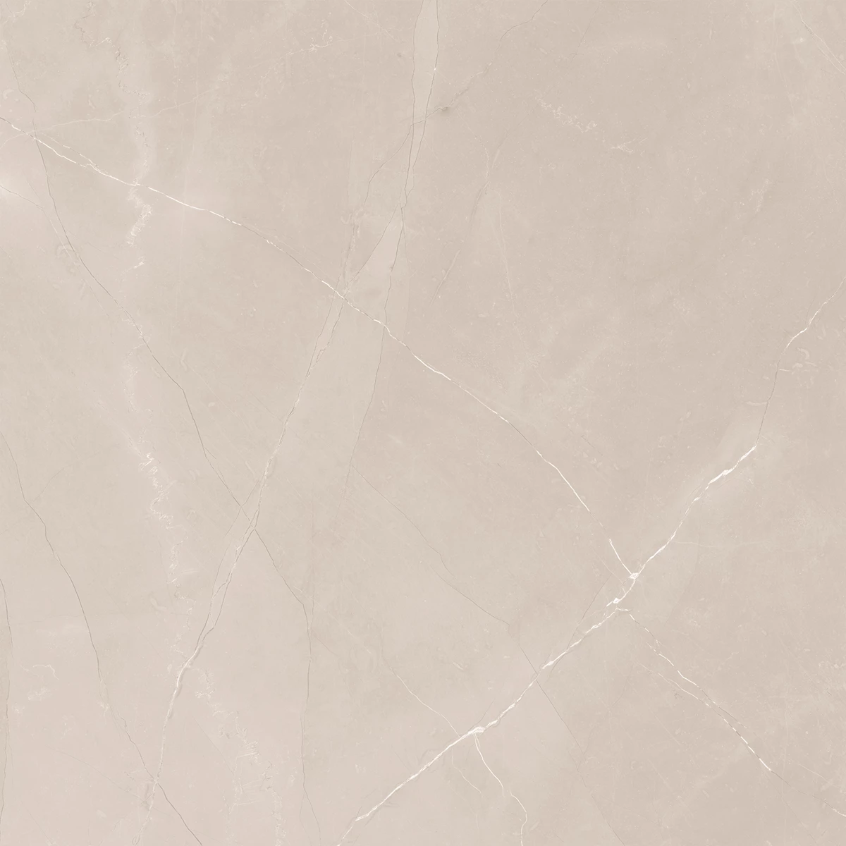 ARMANI WINE LIGHT_f6