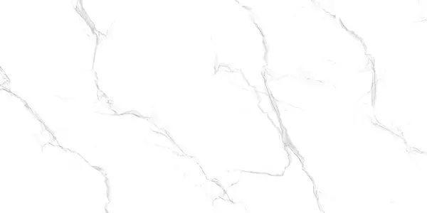 LIBARTO SATVARIO_P3