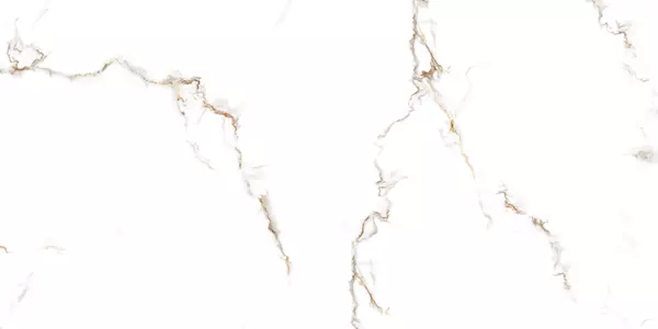 GOLD SATVARIO_P4