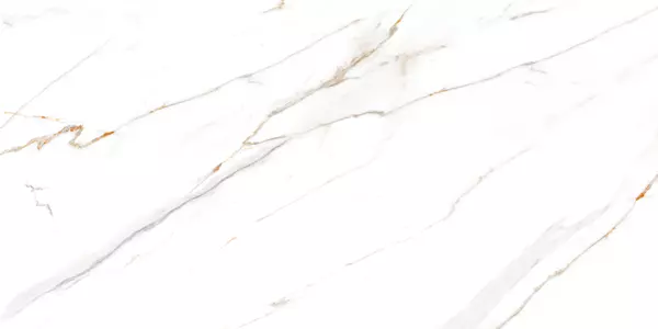FELIS WHITE_P2
