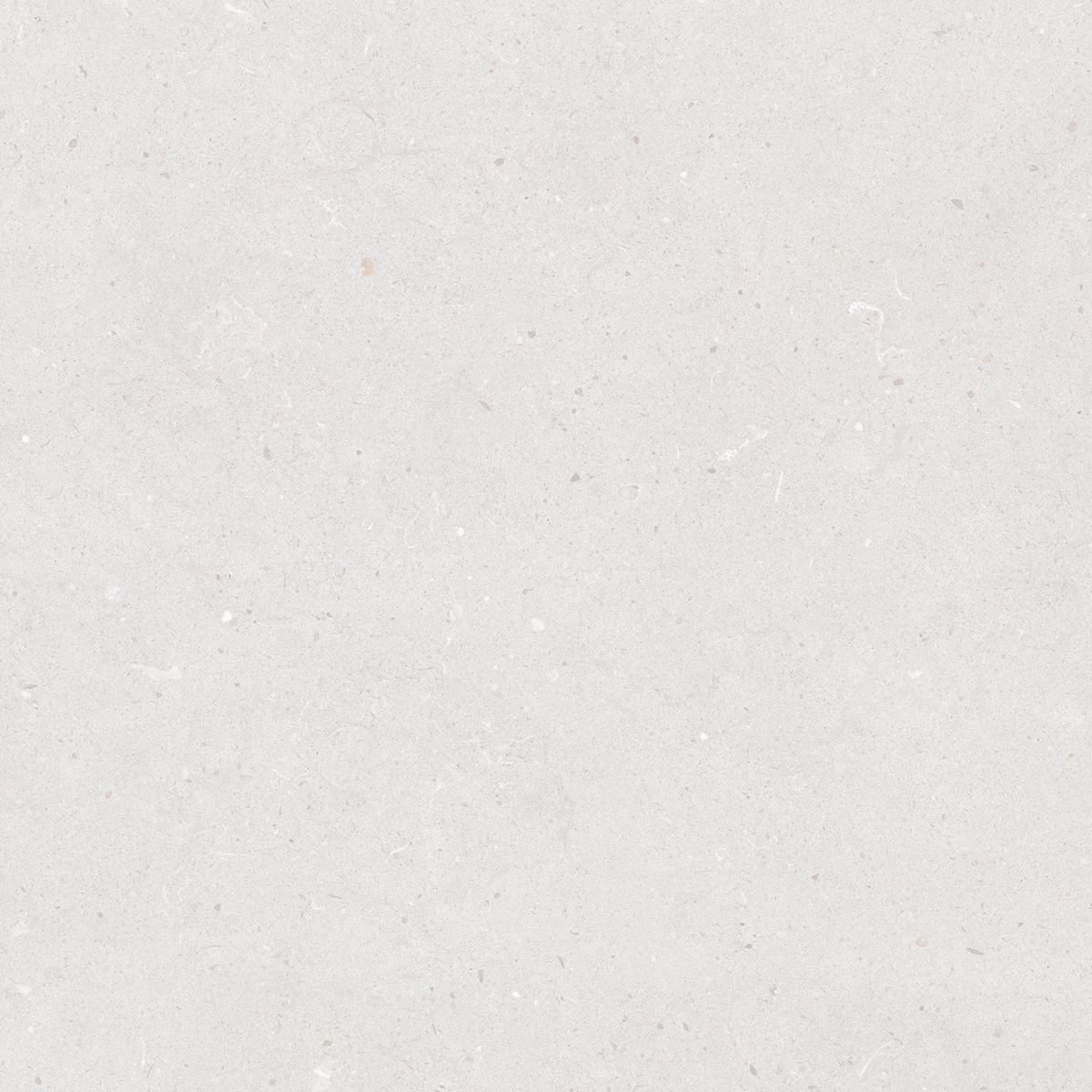 CALIFORNIA BIANCO_P2