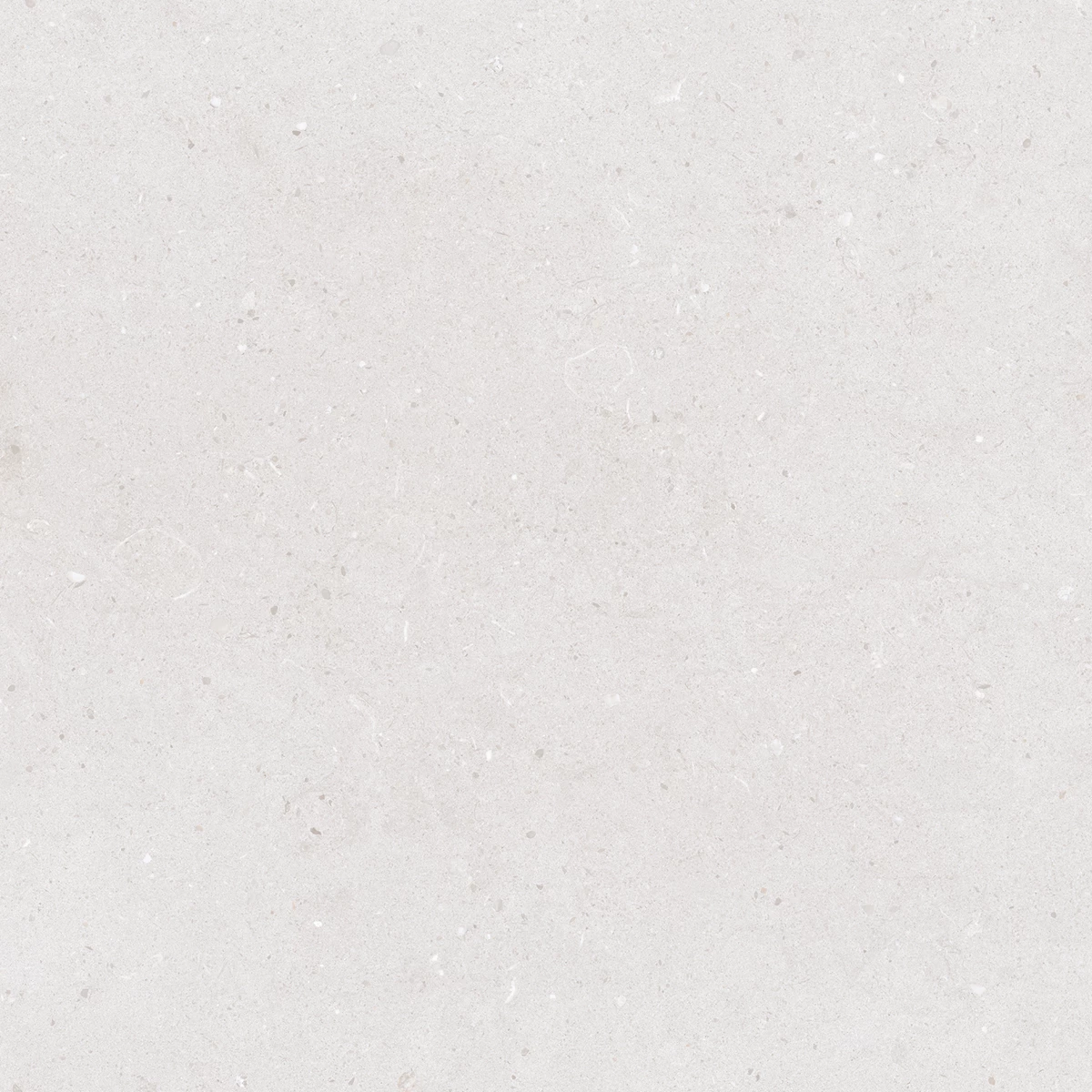 CALIFORNIA BIANCO_P3