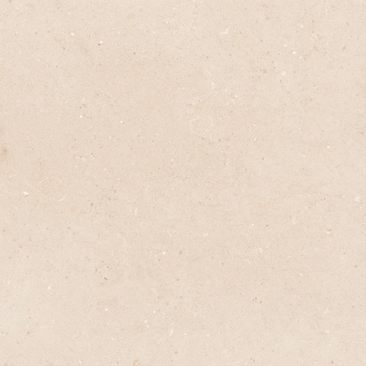 CALIFORNIA CREMA_P3