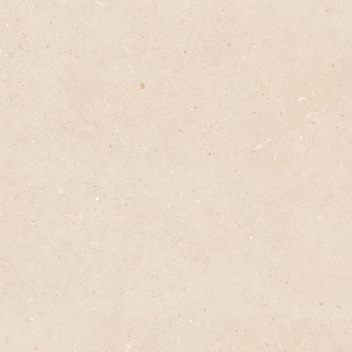 CALIFORNIA CREMA_P2