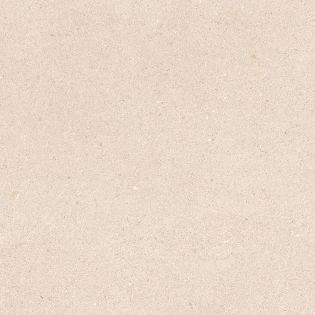 CALIFORNIA CREMA_P4