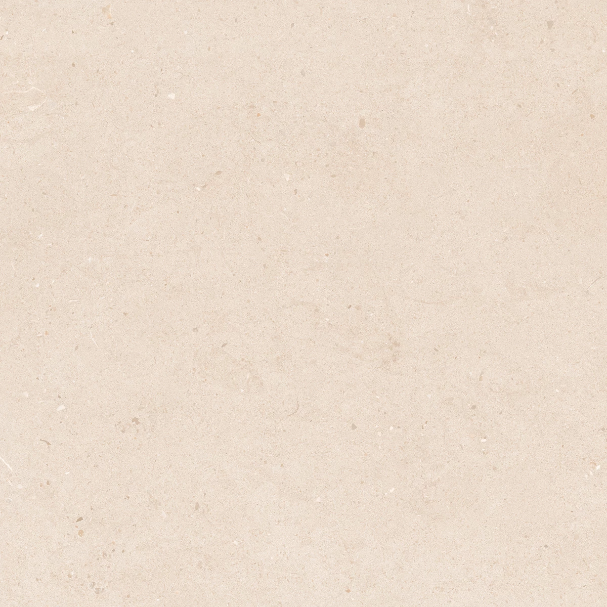 CALIFORNIA CREMA_P5