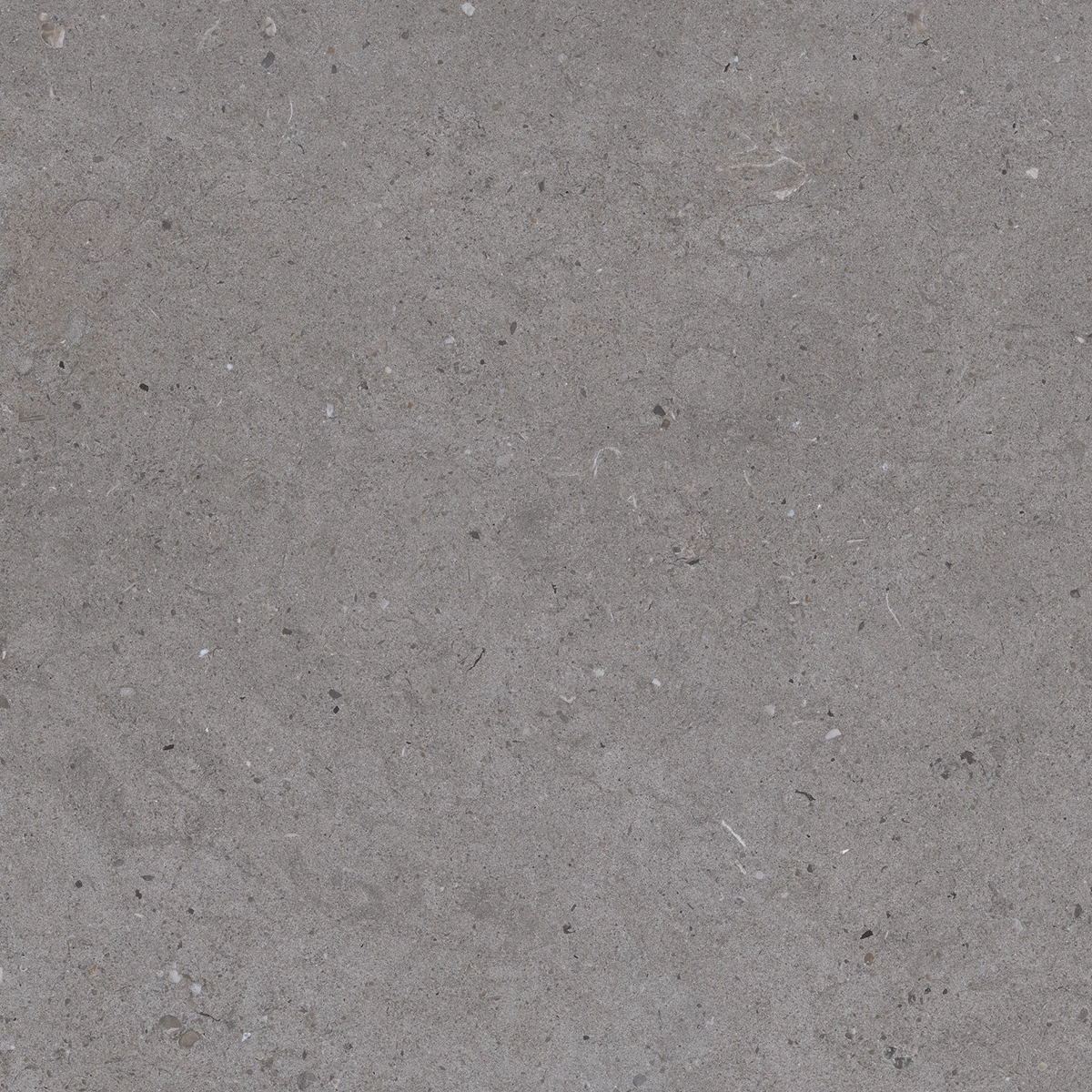 CALIFORNIA GREY_P4