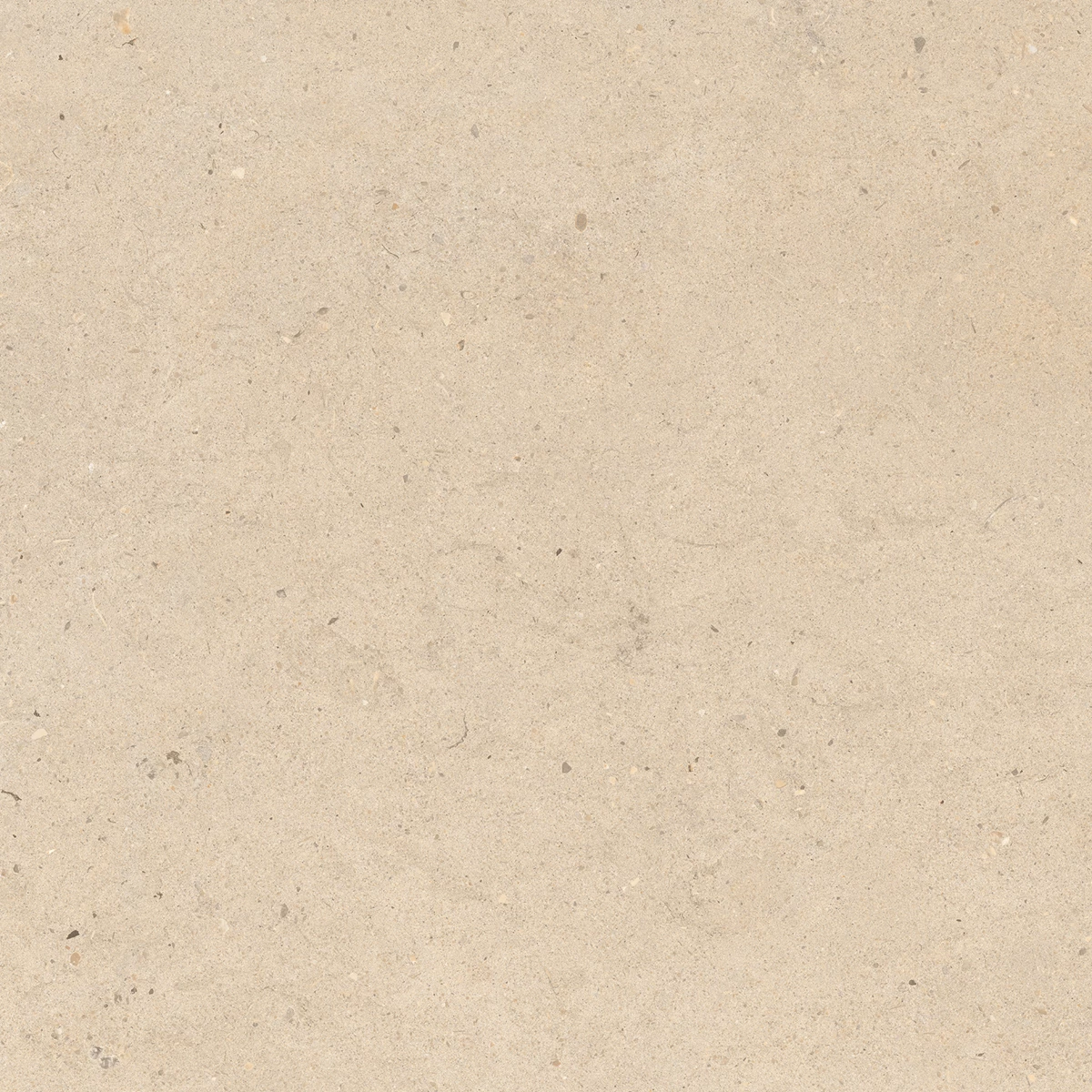 CALIFORNIA IVORY_P3