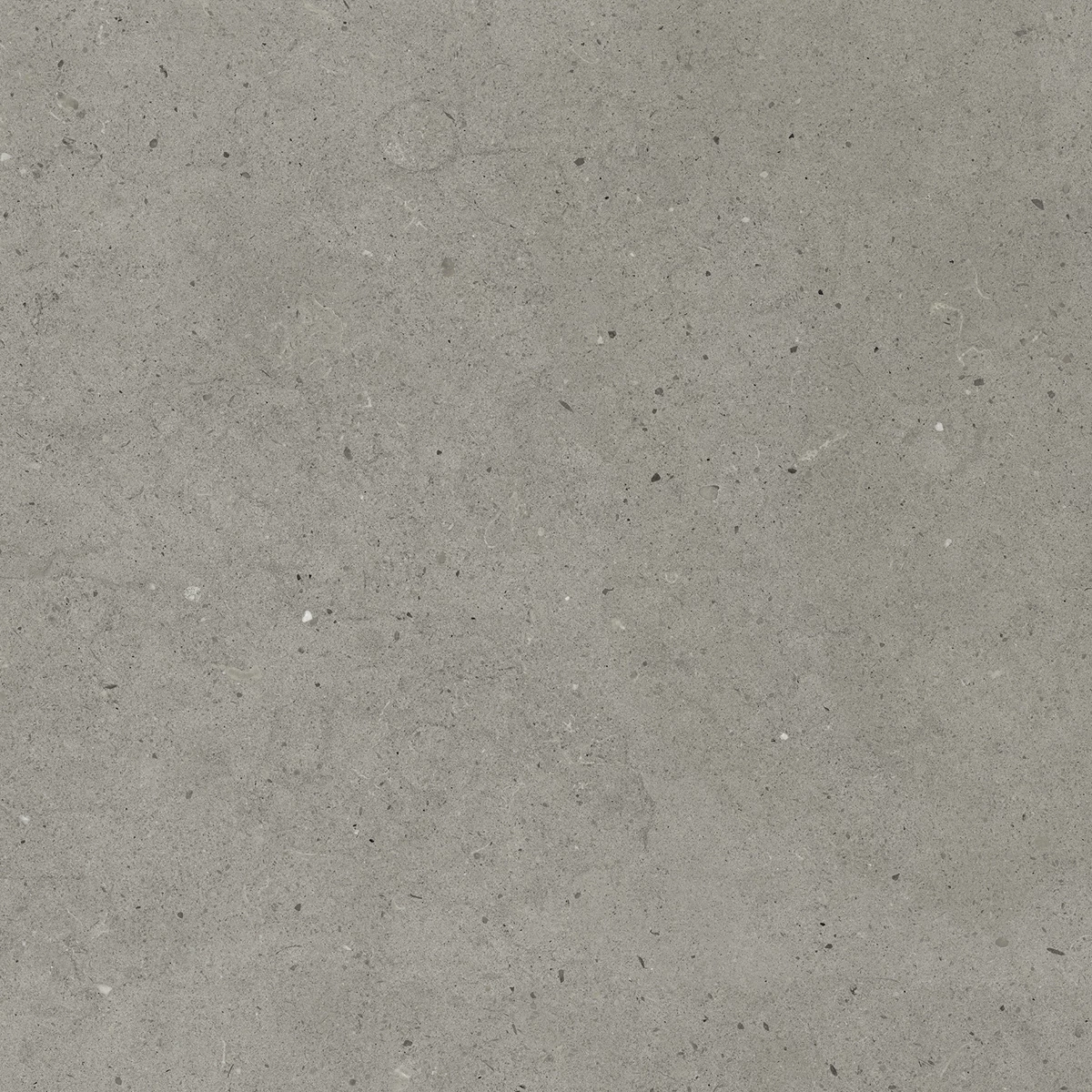 CALIFORNIA VERDE_P2