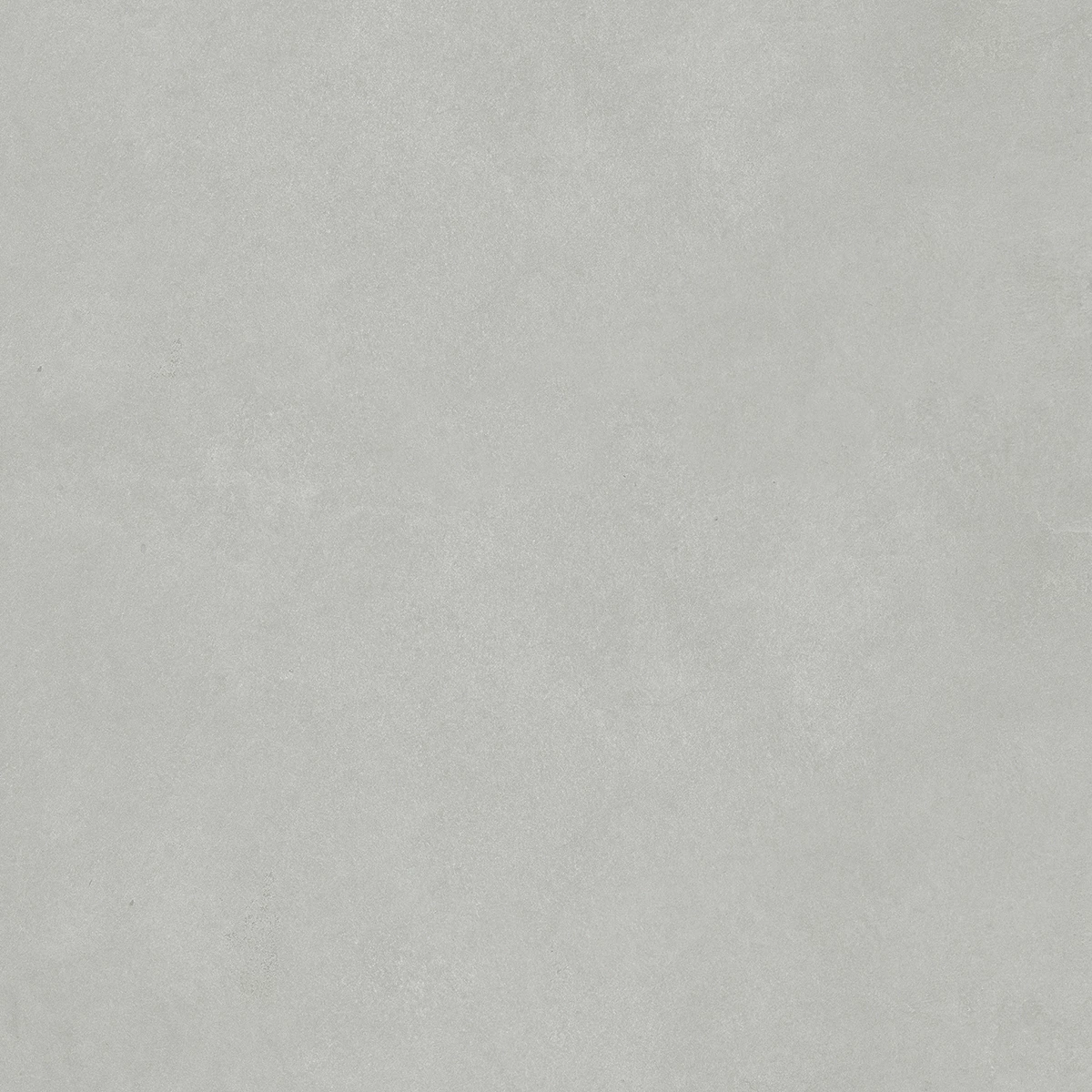 CONCORDE GRIGIO_F8
