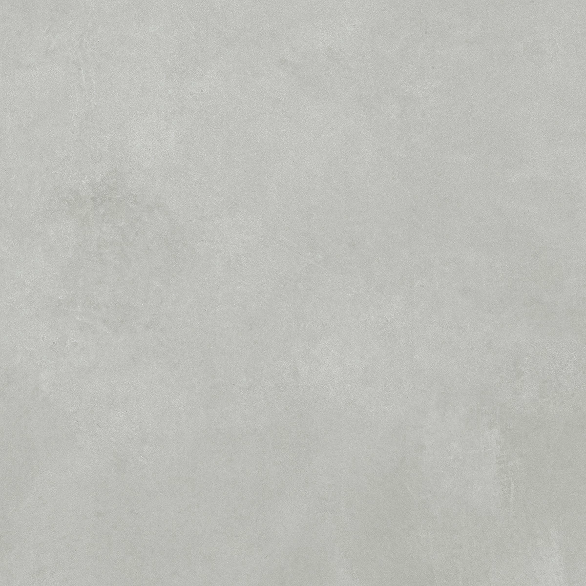 CONCORDE GRIGIO_F5