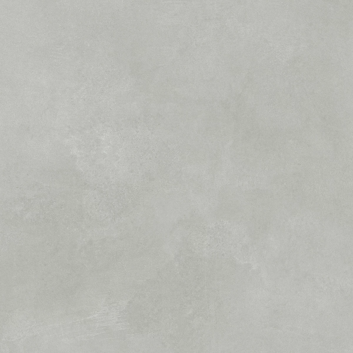 CONCORDE GRIGIO_F2