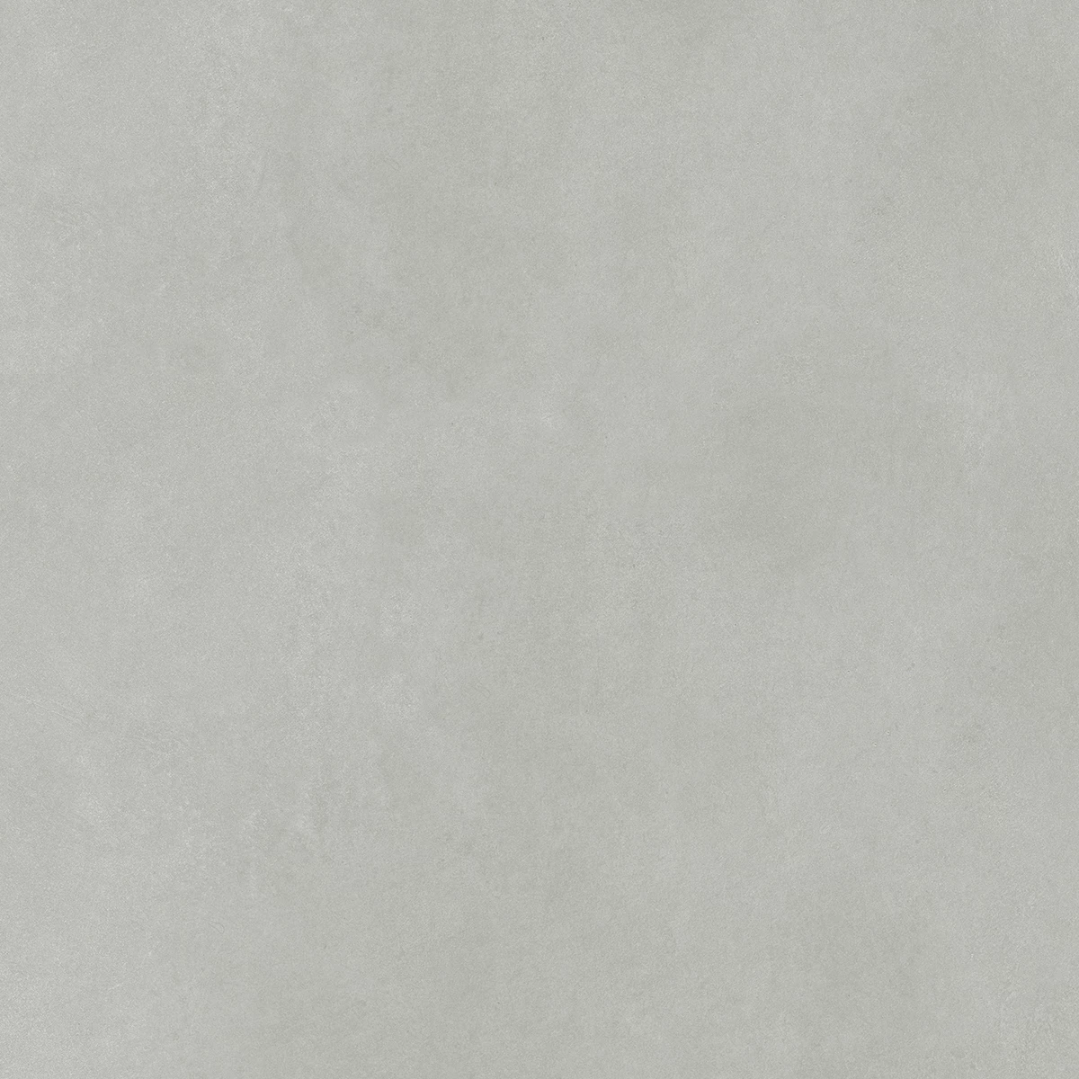 CONCORDE GRIGIO_F3