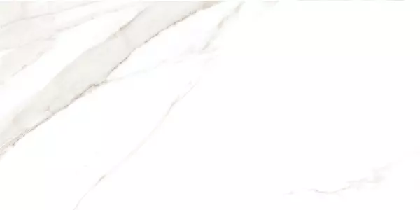 AREBIC RICO_P4