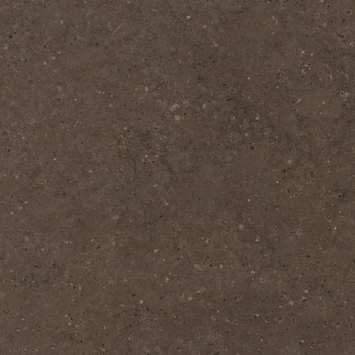 FLAKES COCO DARK  3