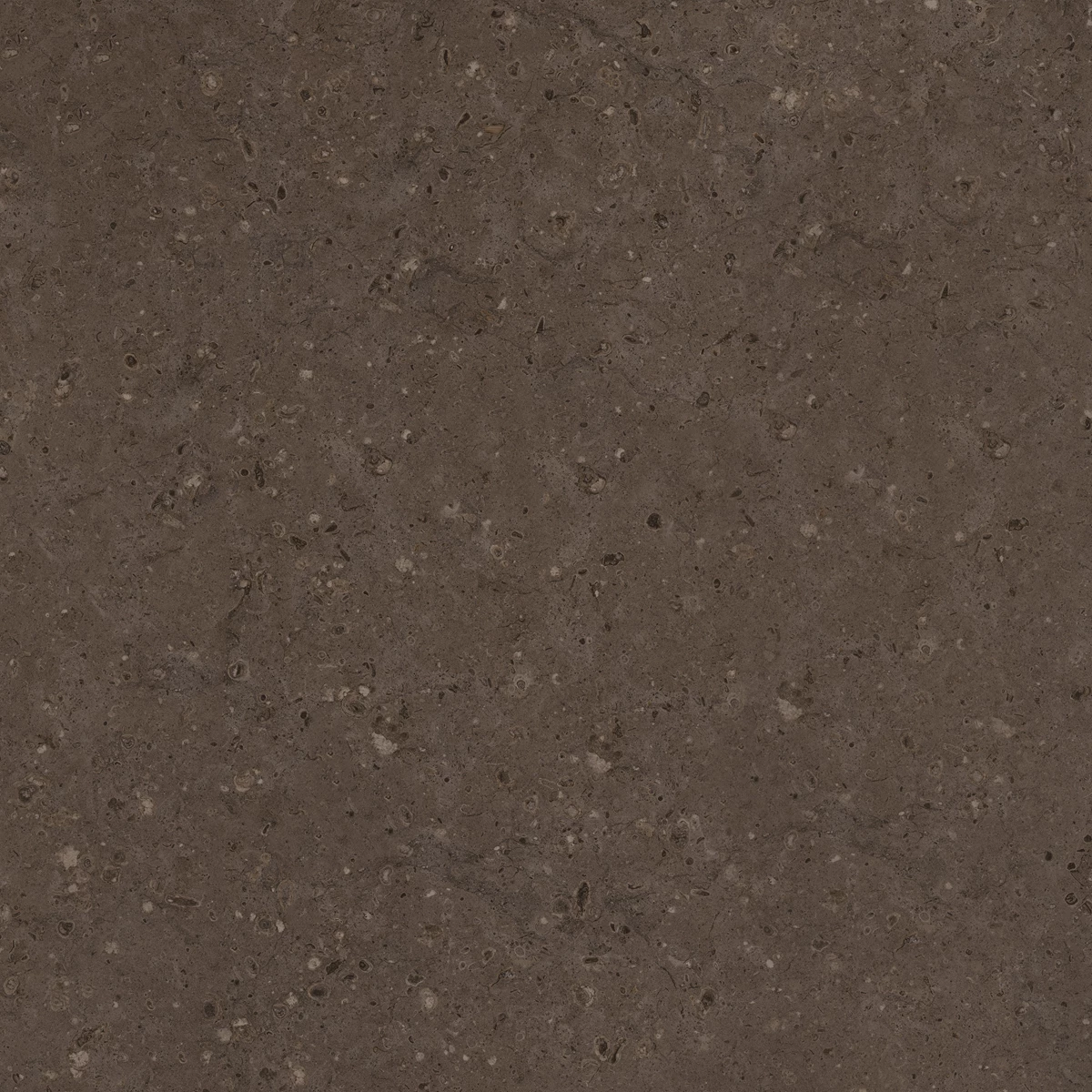 FLAKES COCO DARK  6