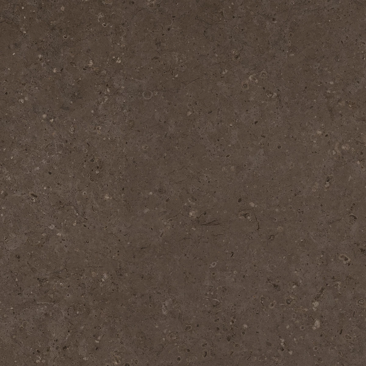 FLAKES COCO DARK  5
