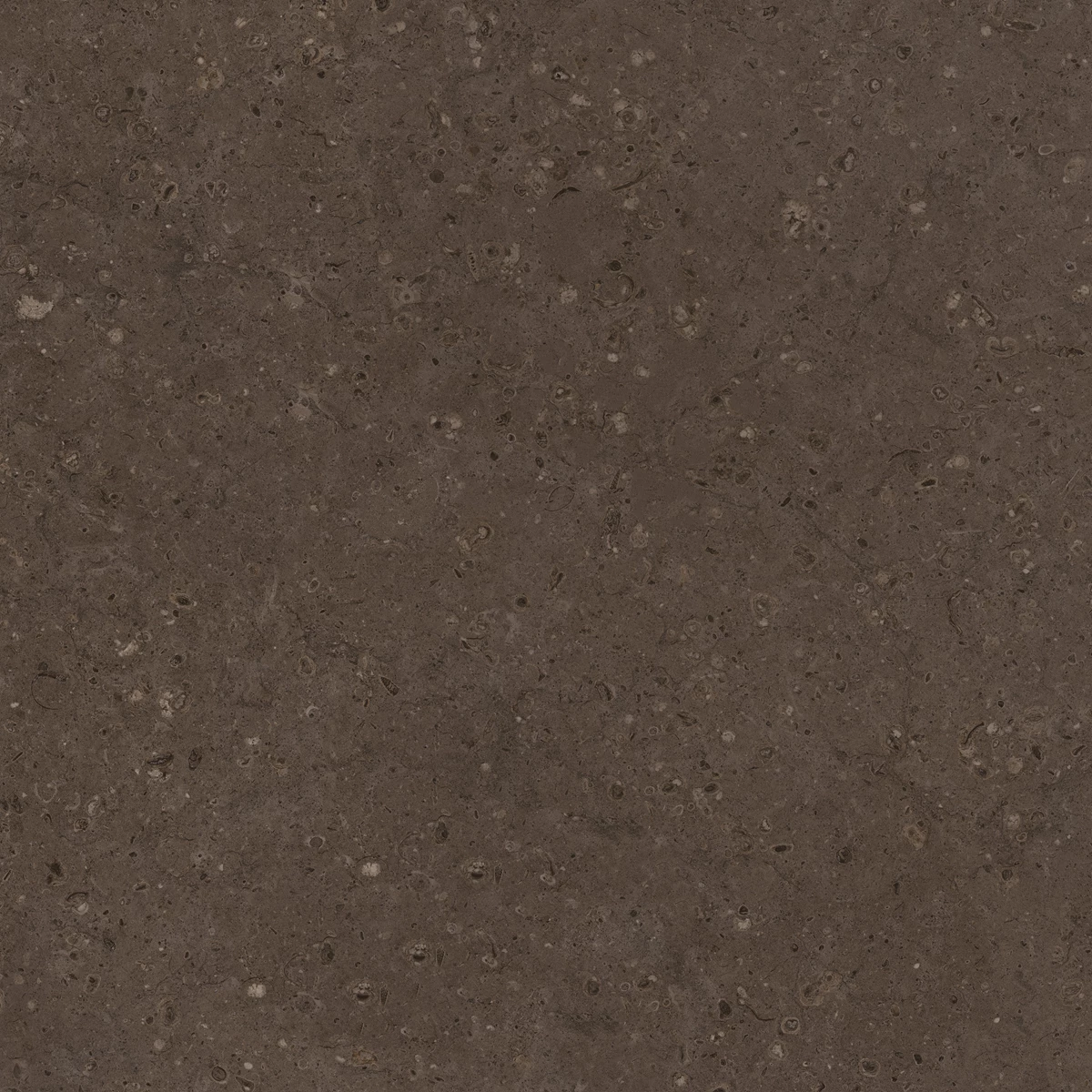 FLAKES COCO DARK  2