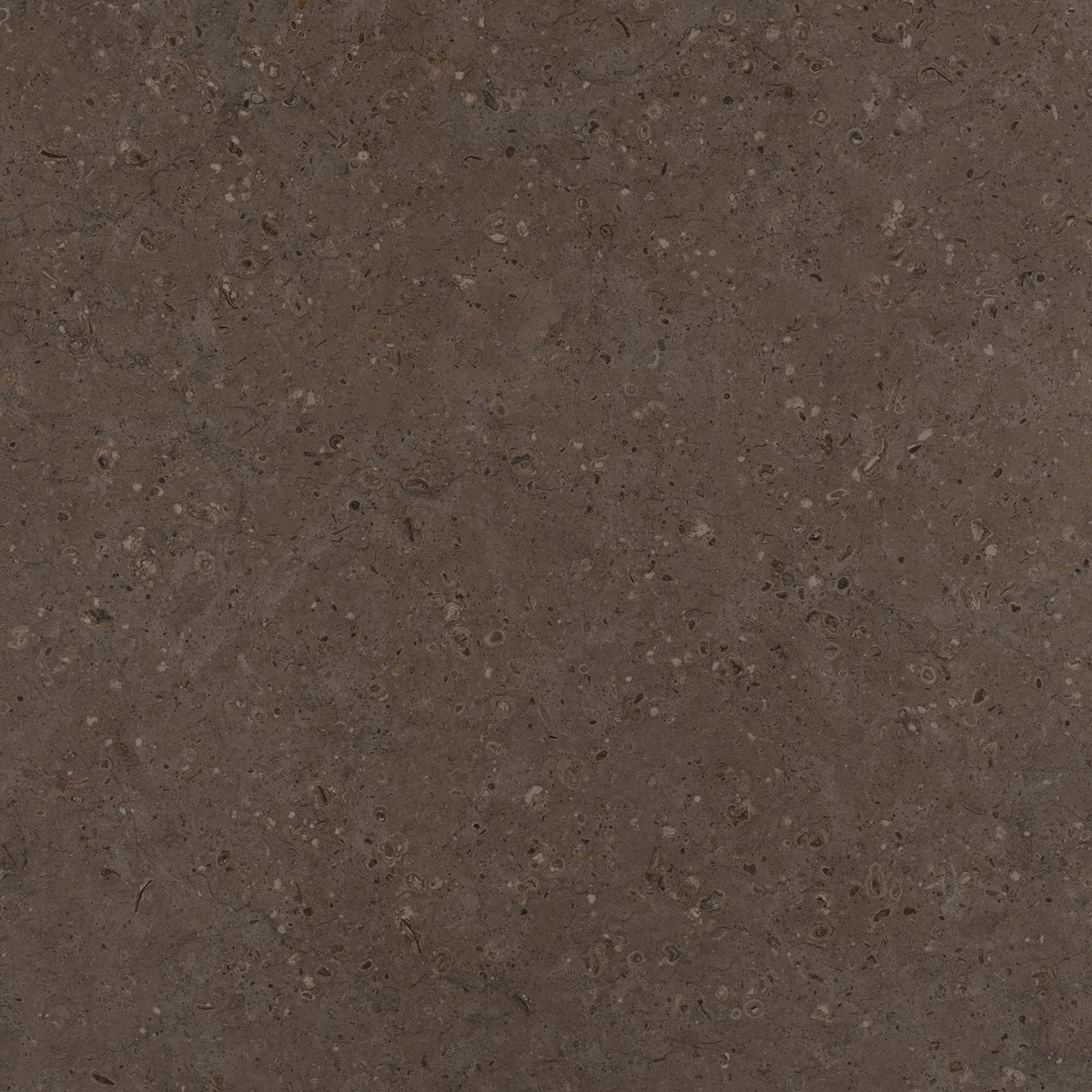 FLAKES COCO DARK  4
