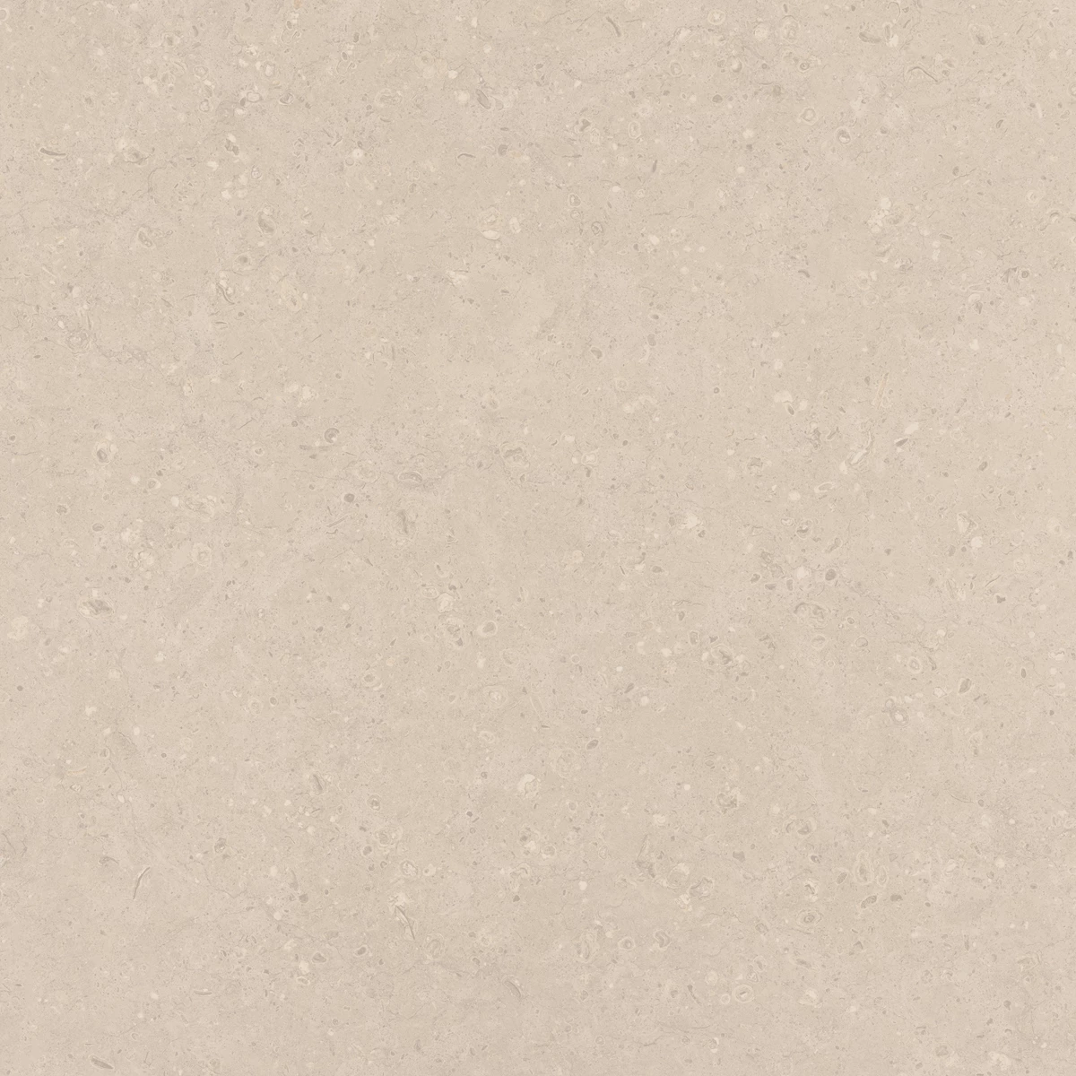FLAKES COCO LIGHT  4