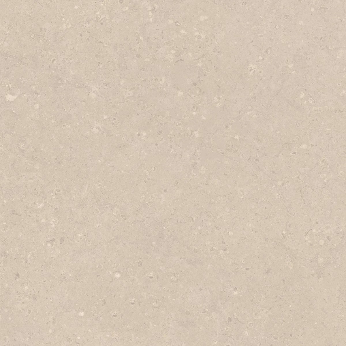 FLAKES COCO LIGHT  2