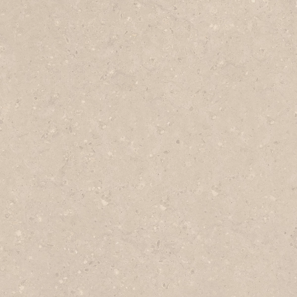 FLAKES COCO LIGHT  6