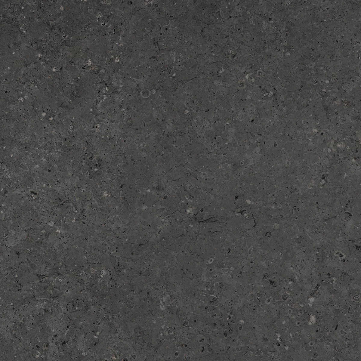 FLAKES GREY DARK  5