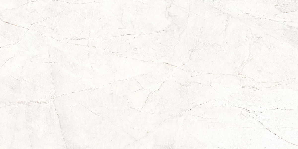 APOLO BIANCO_P2