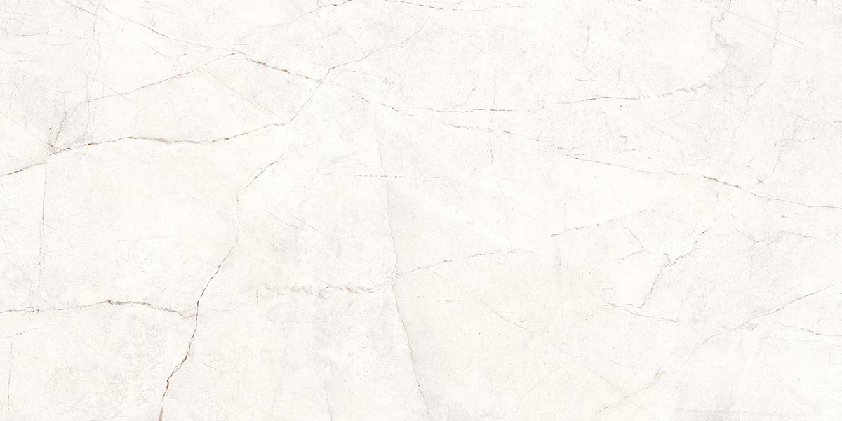 APOLO BIANCO_P3