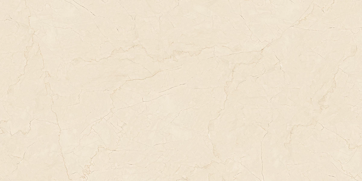NIRVANA IVORY_P2