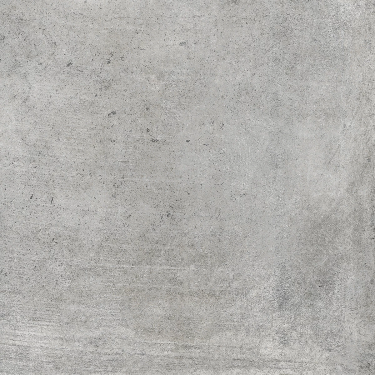 ASCAP GREY 11