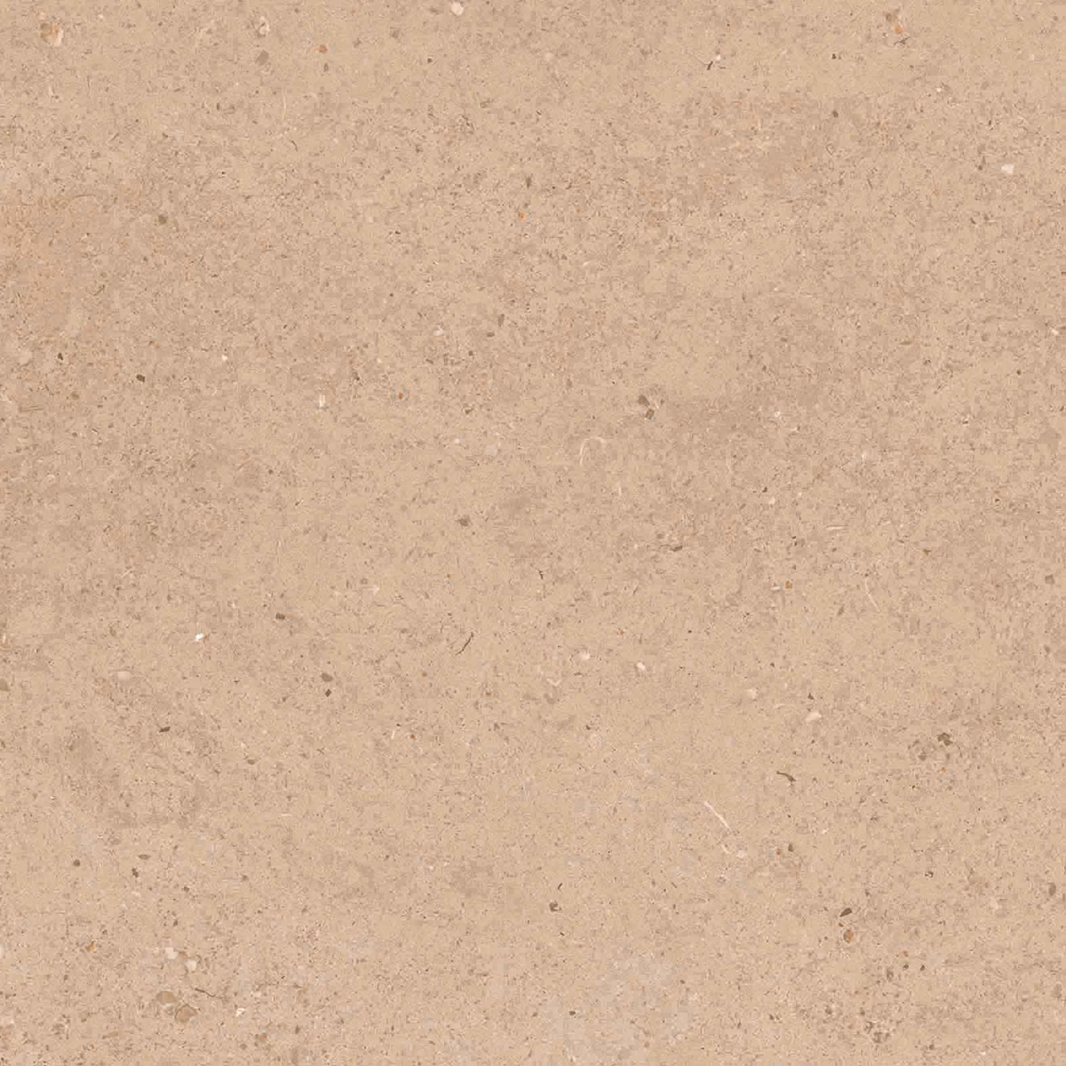 CALIFORNIA BROWN_P4