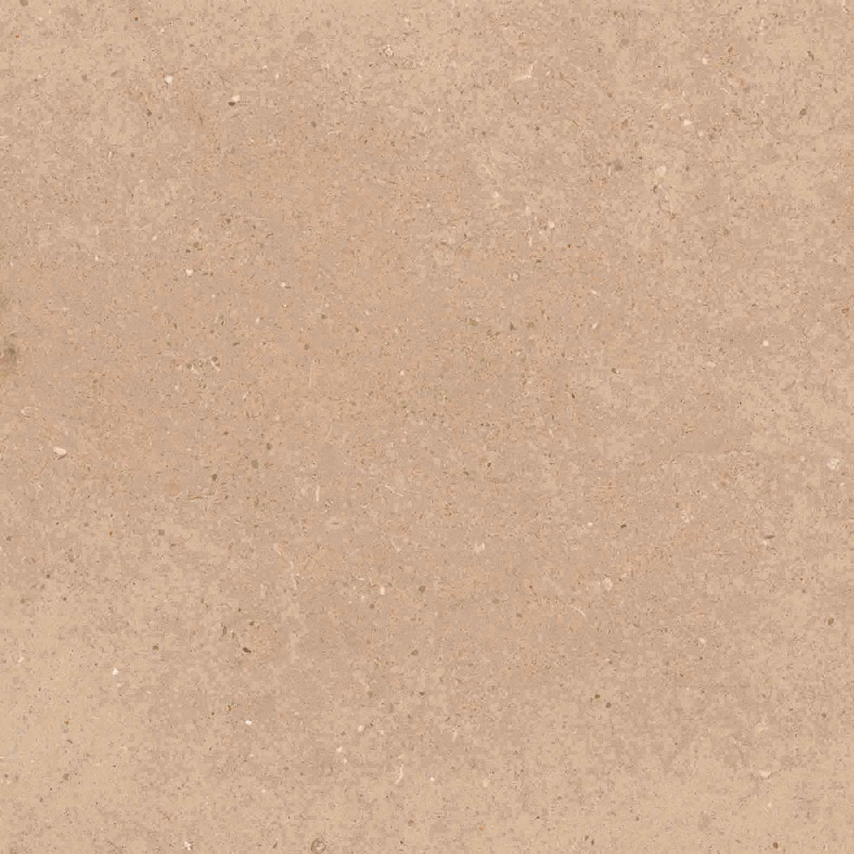 CALIFORNIA BROWN_P3
