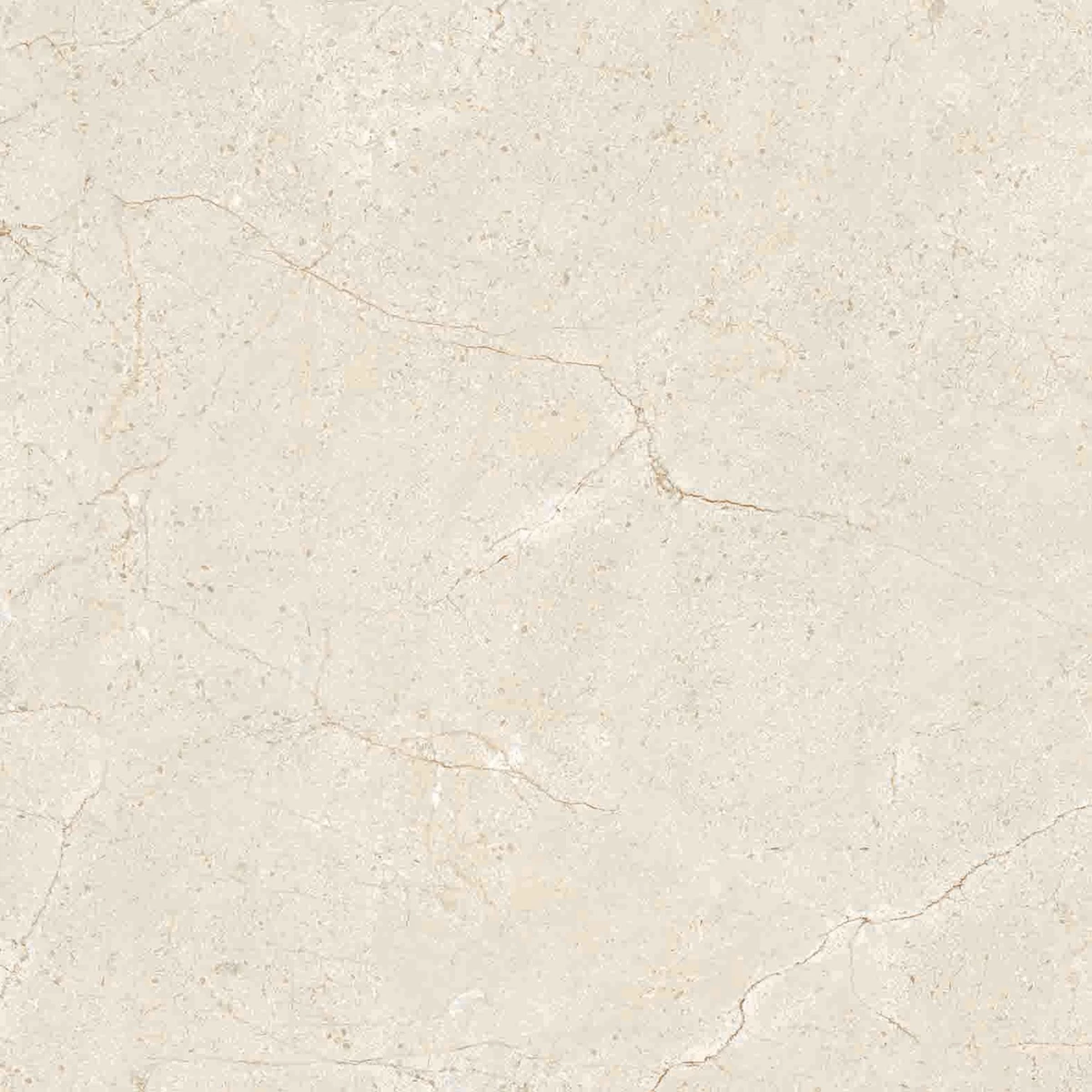 CREMA MARFIL-R3