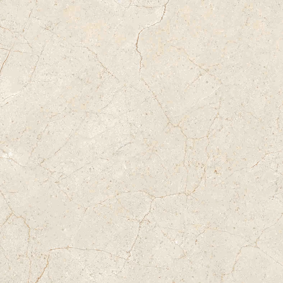 CREMA MARFIL-R2