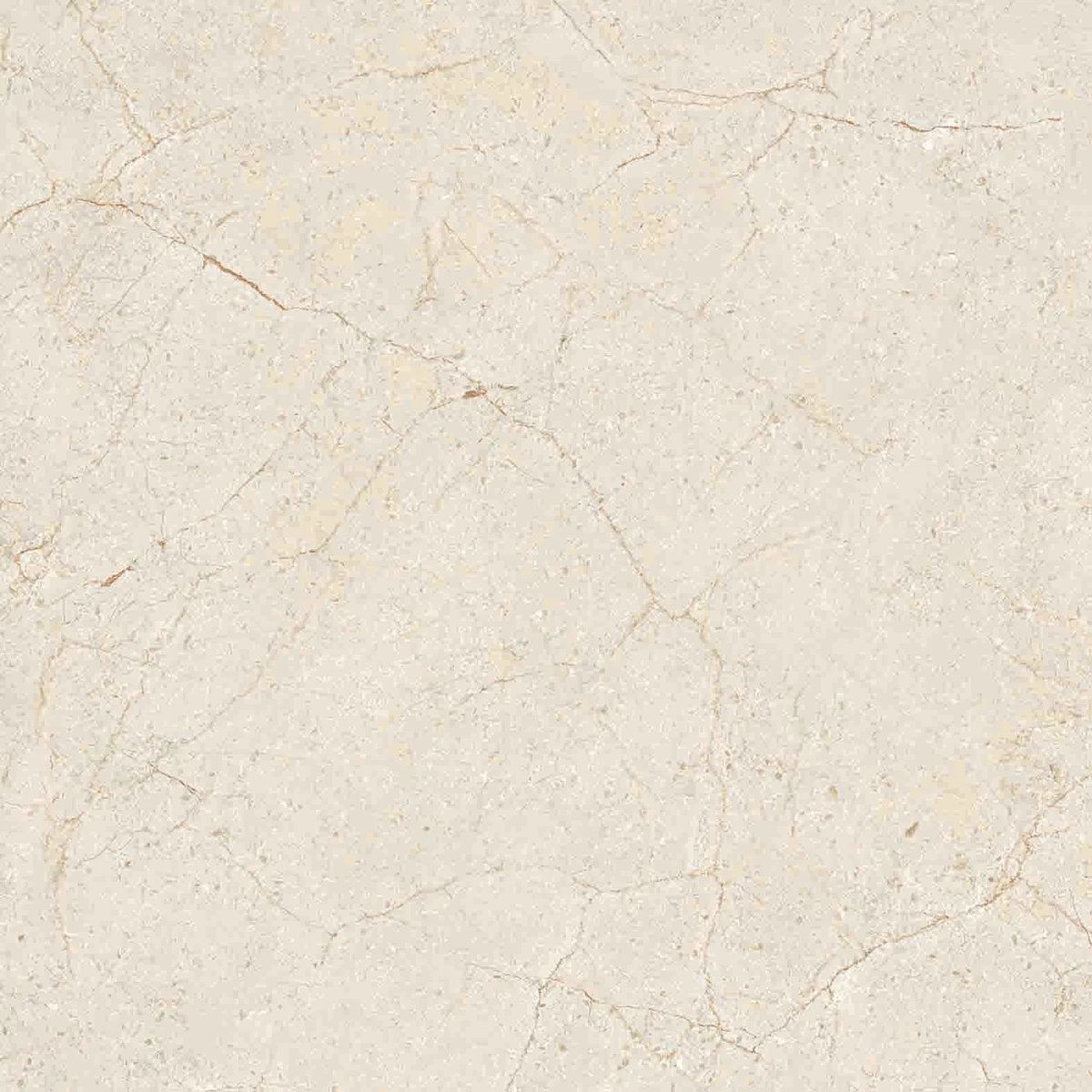 CREMA MARFIL-R4
