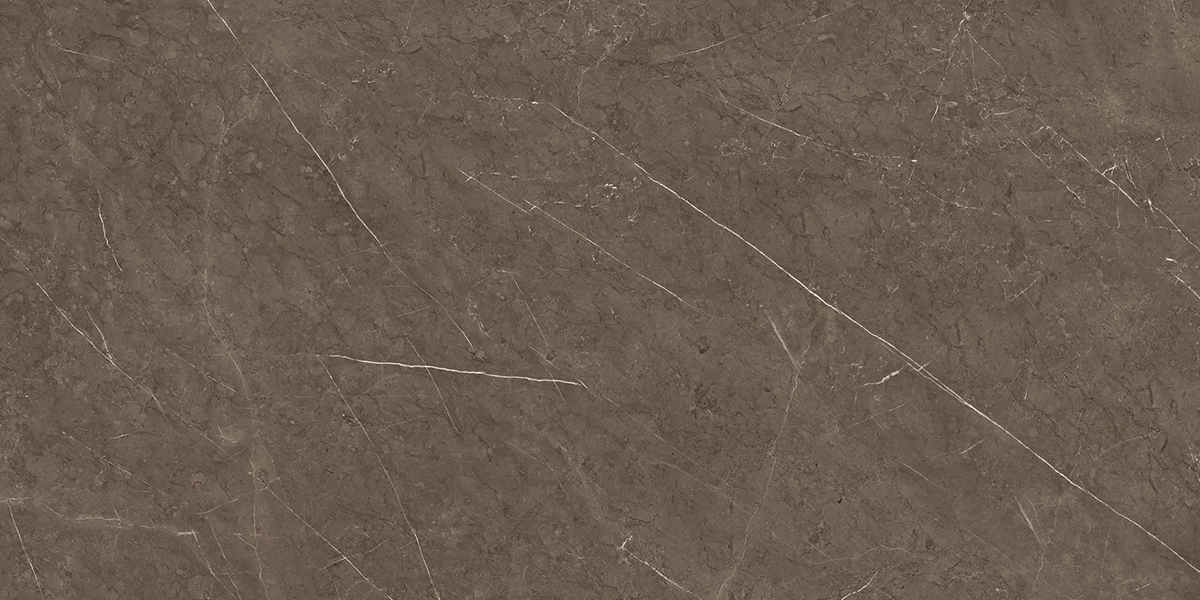 CANYON BROWN_P2