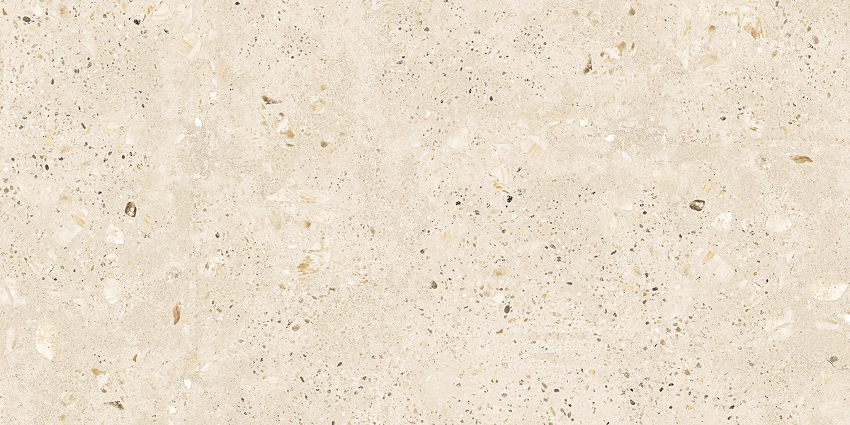 FLASH IVORY_P2