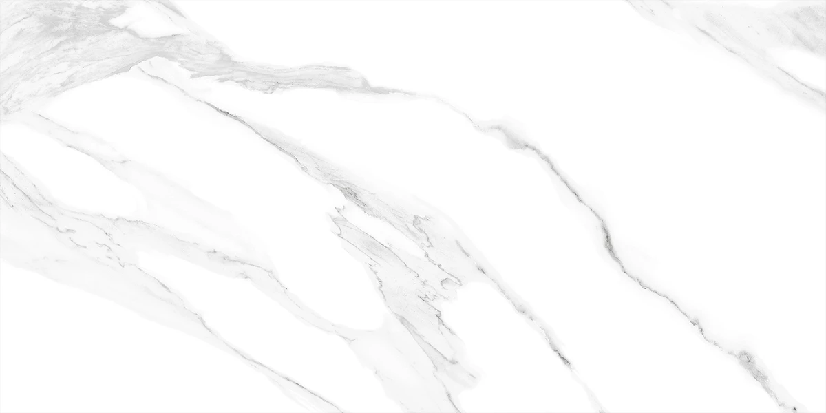 REGAL VERSO SATUARIO_P1