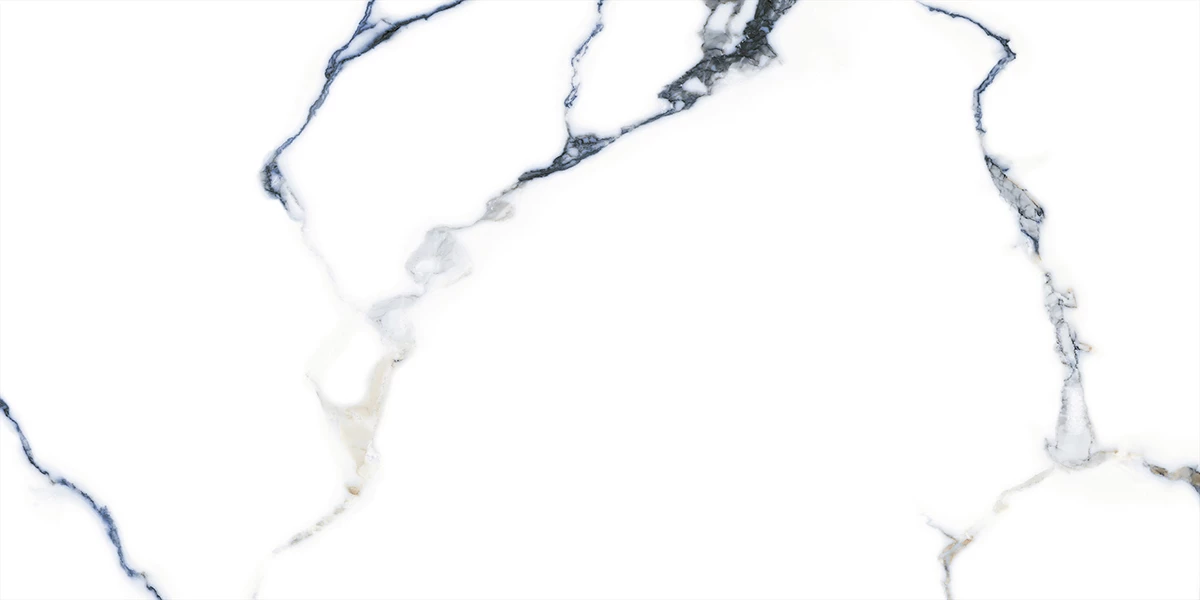 SPIDER WHITE_P1