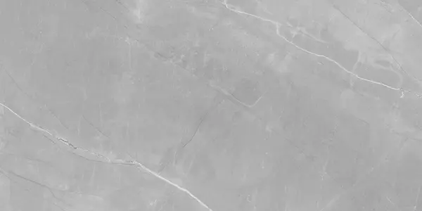 PULPIS GRIS_P4