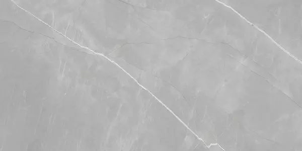 PULPIS GRIS_P3